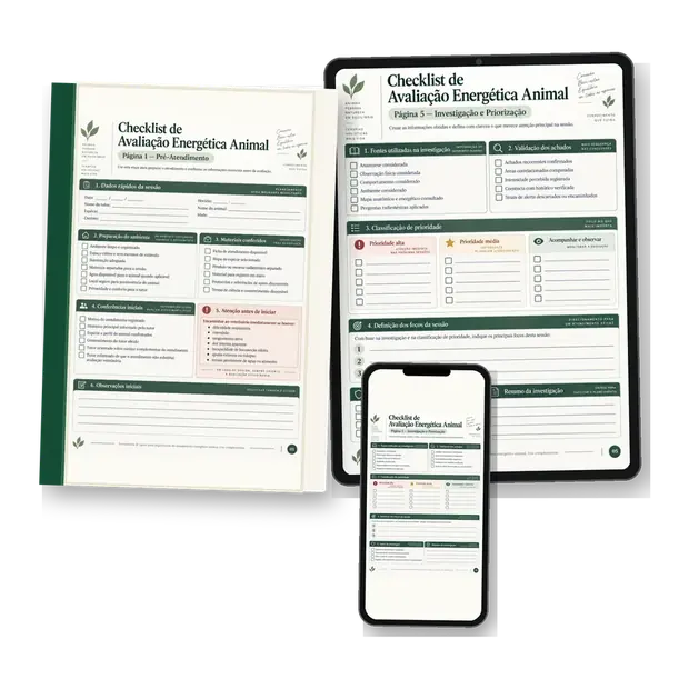 Checklist dos primeiros atendimentos energeticos